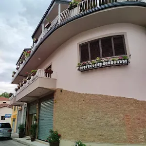 Lille France Shkodër